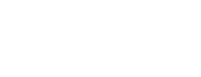 Ric Lee logo
